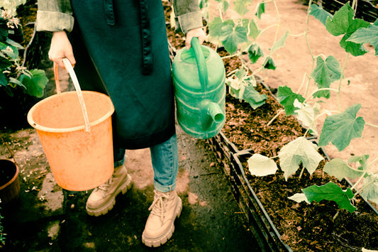 Preparing Hill Country Soil For Your Fall Garden