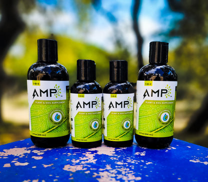 AMP Microalgae 8oz Bottle