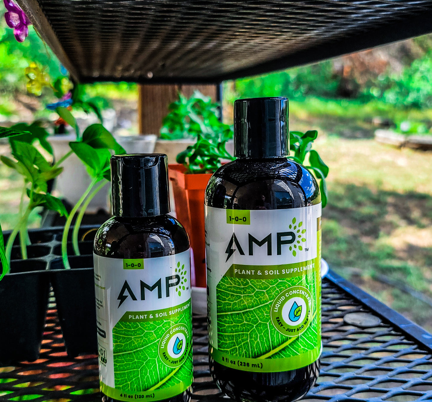 AMP Microalgae 4oz Bottle