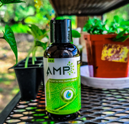 AMP Microalgae 4oz Bottle