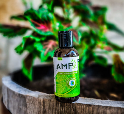 AMP Microalgae 4oz Bottle