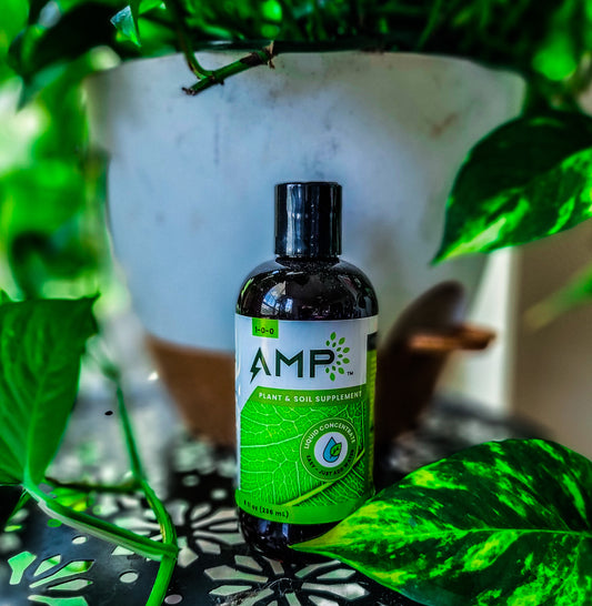 AMP Microalgae 8oz Bottle