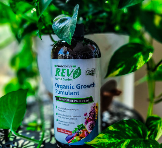 Organic REV (8oz, 16oz, 32oz)